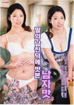 丰臣兄弟 海报